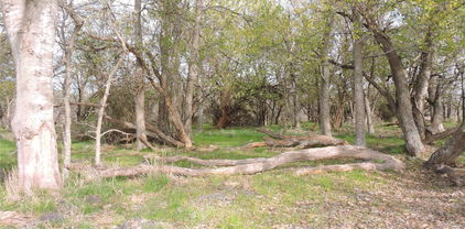19681 Co Road 4043, Kemp