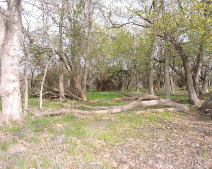 19681 Co Road 4043, Kemp