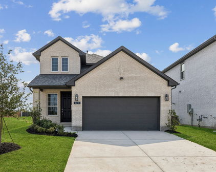 2716 Island Palm Ct, Forney
