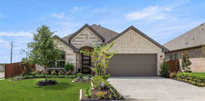 114 Emperor Oak Ct, Balch Springs