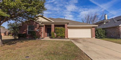 100 Hackberry Trl, Forney