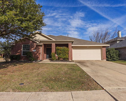 100 Hackberry Trl, Forney
