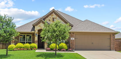 252 Goliad Trl, Forney
