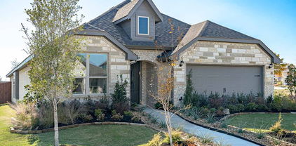 137 Whistling Duck, Balch Springs