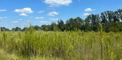 0000 Vz County Rd 4406, Ben Wheeler