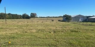 000 Vz County Road 2201, Canton