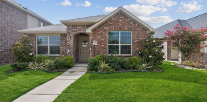 2933 Meadowlands Dr, Forney