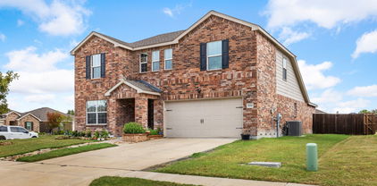1014 Rio Frio Dr, Forney