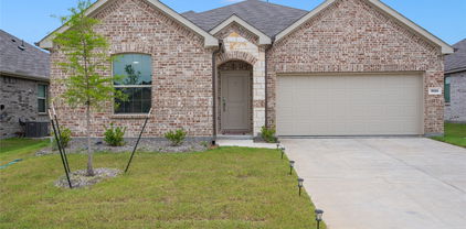 1558 Gentle Night Dr, Forney