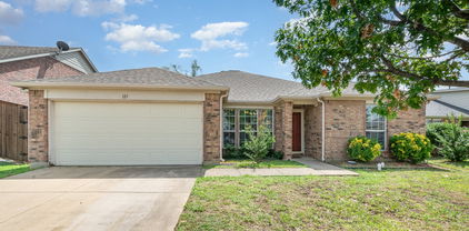 123 Painted Trl, Forney