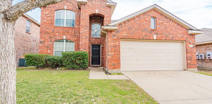 1106 Mule Deer, Forney
