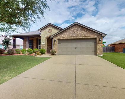 241 Wolf Dr, Forney