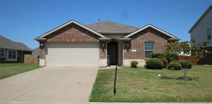 3102 Flowering Springs Dr, Forney