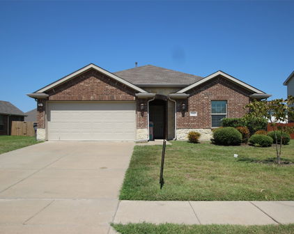 3102 Flowering Springs Dr, Forney