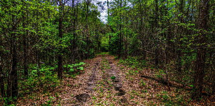 TBD Fm 1836, Kaufman