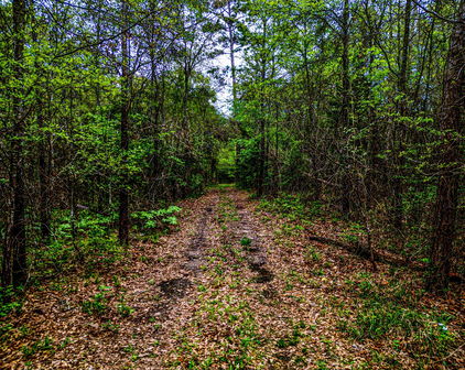 TBD Fm 1836, Kaufman