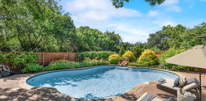 1037 Rosinweed Dr, Mesquite