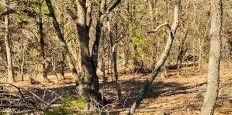 8000 County Road 301, Terrell