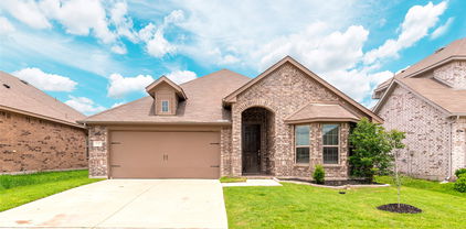 4142 Perch Dr, Forney