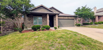 4110 Sandalwood Ct, Forney
