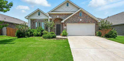 3008 Cassinia Pkwy, Forney