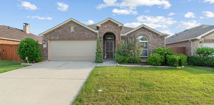 4130 Gaillardia Way, Forney