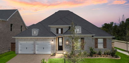 2037 Diamond Cv, Mesquite