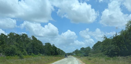 Private Rd, Wills Point
