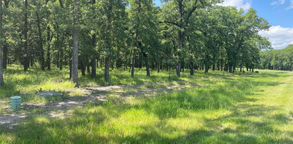 Lot 36 Vintage Shore Dr, Quinlan