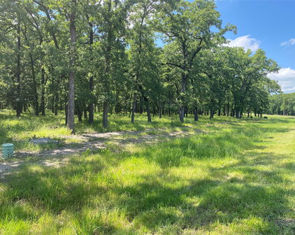 Lot 36 Vintage Shore Dr, Quinlan
