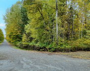 19836 161st Street SE, Yelm image