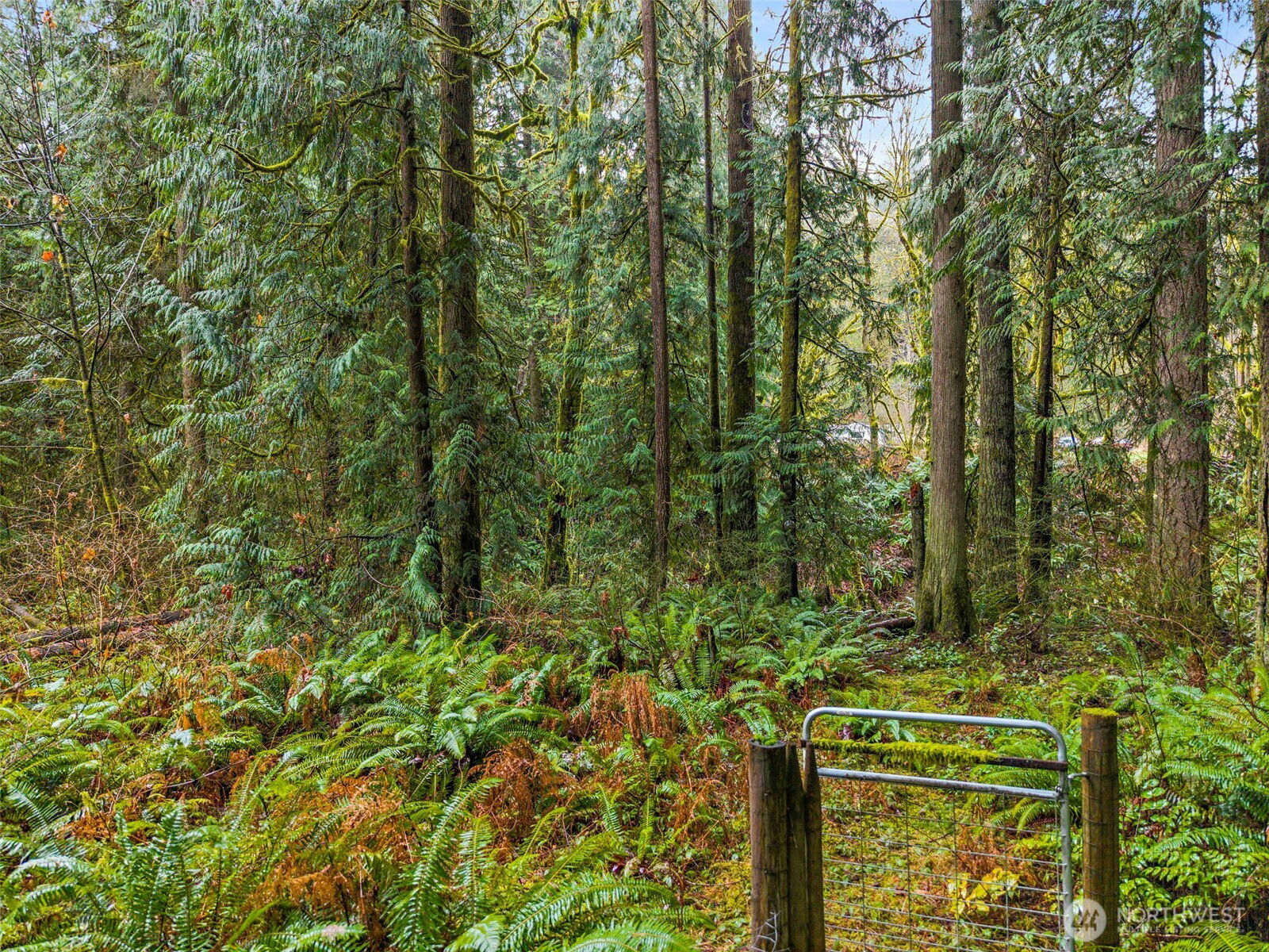 10618 Kelly Road NE, Carnation | MLS# 2490873 | Skyline Properties, Inc ...